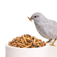 Larves de Mouches Soldat Noires Séchées pour Nourriture d'Oiseaux, Hamsters, Tortues, Pigeons et Animaux de Compagnie