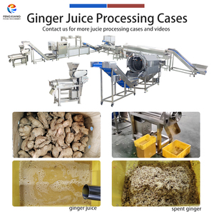 เครื่องสกัดน้ำขิงขนาด 0.5-2 ตัน/ชม. จากโรงงาน พร้อมสายการผลิตสำหรับล้างและแปรรูปขิง - Product Image 2