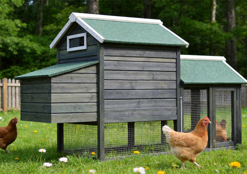 Wooden Rabbit & Chicken Coop Multi-Animal Outdoor Pet Villa, Rabbit and ...