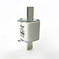 Fusible CHFE NT2 de Acción Rápida, Cerámico, 125A 200A 250A 350A 400A, Protección de Sistema AC, Fusible NH2 NH3, 500VAC, 1600A, Personalizado