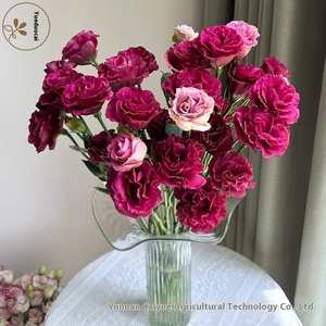 Suministro Directo de Kunming, <span class=keywords><strong>Eustoma</strong></span> <span class=keywords><strong>Grandiflorum</strong></span> Fresca de la Marca Guoxiaomi con Capullos, 8-13 Ramas/Atado, Pétalos de 5cm para Otras Ocasiones - Product Image 4