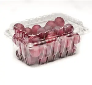 1LB Embalaje de concha de uva sin semillas Caja de PET para llevar Contenedor de fruta de plástico para fresa