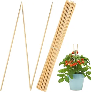 Bâton de bambou jetable de différentes tailles, bâton de Support pour plantes de jardin pour plantes grimpantes, vente en gros