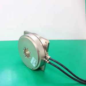 Motor Servo Eléctrico de Accionamiento Directo de 24v, Sin Mantenimiento, con Estructura Compacta para Máquinas Automáticas - Product Image 3