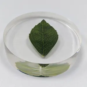 Акриловые кристаллические листья ручной работы по индивидуальному заказу, коммерческие сувениры, инструменты для обучения