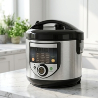 GB-MCS16R 5L Cuiseur à riz multifonction 860W avec commande par bouton rotatif, cuve de cuisson en acier inoxydable pour la cuisson en vrac