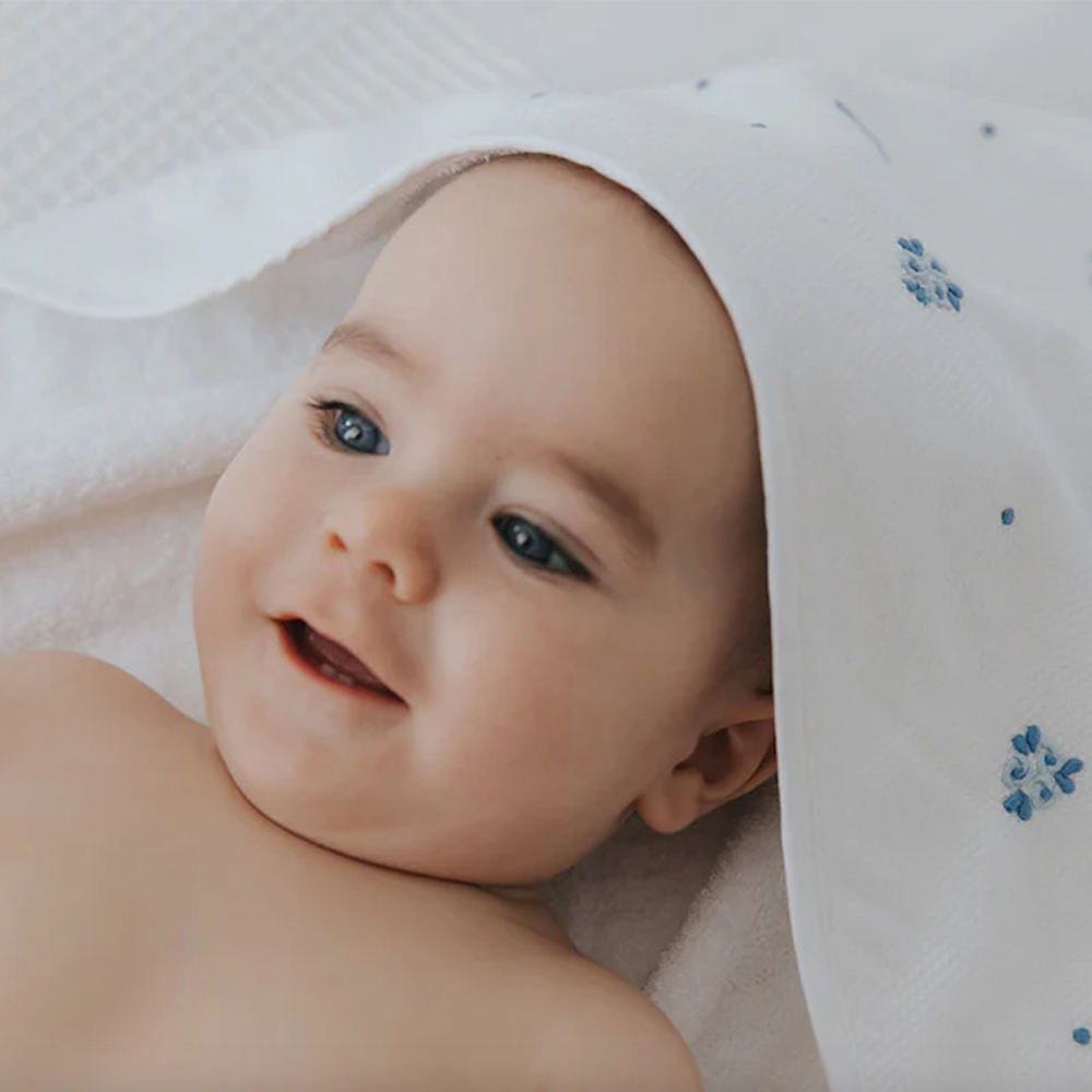 ดอกไม้สีฟ้า