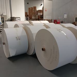 Rouleau de papier couché PE simple ou double paroi, matière première, haute qualité, 210 g/m², 235 g/m² - Product Image 2