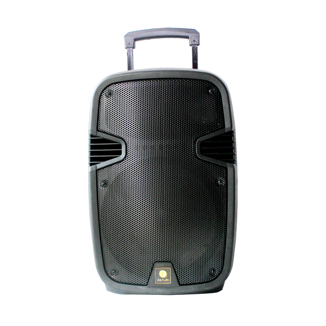 Customized Bluetooth Speaker Oem Audio 12 Inch Speaker Box Wireless Outdoor Trolley Speakers