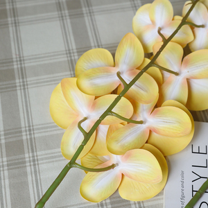 Arrangement floral d'orchidées papillon en gros, faible MOQ, fabricant d'orchidées papillon, orchidées papillon prêtes à être expédiées - Product Image 6