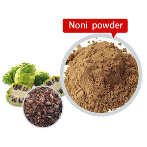 Polvere di Noni di Hainan di Alta Qualità, Polvere di Morinda Citrifolia per Alimenti <span class=keywords><strong>e</strong></span> Bevande, Polvere di Noni - Product Image 2