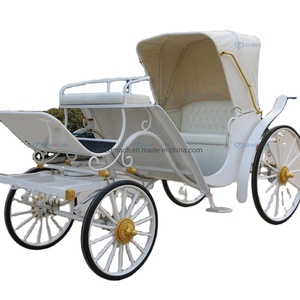 Carroza Turística Blanca de Estilo Simple/Carroza Turística Eléctrica Familiar en Oferta - Product Image 3
