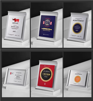 Plaque de récompense en métal personnalisable avec logo client, trophée de récompense vierge, plaques de récompense en métal gravées au laser