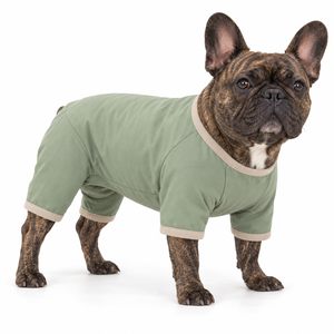 <b>French</b> <b>Bulldog</b> Cotton Blend <b>Coat</b> Solid Green Comfortable All Seasons Pet Clothing for Dogs - Product Image 1