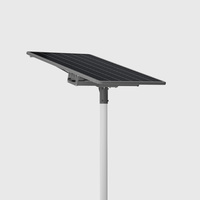 Lampadaire Solaire LED Étanche IP66 Anti-Corrosion Prix Usine 100W 200W pour Projet Urbain Intelligent