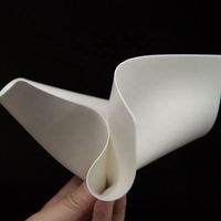 Pads d'entraînement en latex blanc vierge pour microblading, PMU, tatouage des sourcils, pour débutants en cosmétique, différentes tailles