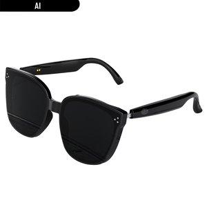 Gafas de Traducción ROCXF HY1008, 110+ Idiomas, Protección UV400, Gafas Inteligentes Polarizadas - Product Image 1