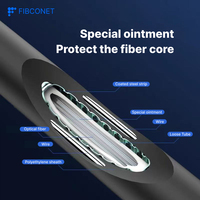 Kabel Optik Berlapis Baja GYXTW untuk Pemantauan Luar Ruangan (4/6/8/12) Core Single-mode dengan Selubung PE Hitam untuk Komunikasi