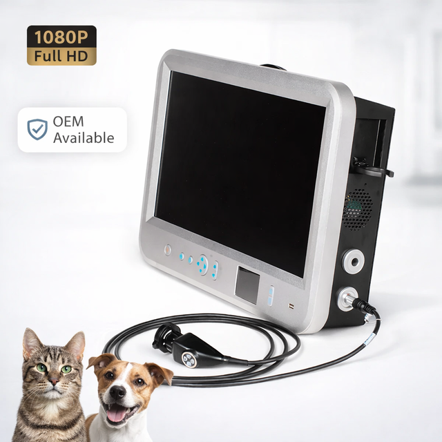 Integrated Veterinary Endoscope System with HDMI Output for Rigid Endoscope Diagnosis, Built in 22 Inch Medical Screen