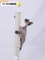 Dua lapisan tiang tunggal kucing menggaruk furnitur dalam ruangan dengan stabil kucing berdiri dan mainan Musim Semi ditambahkan