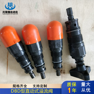 วาล์วระบายแรงดันโดยตรง Xingchenrui รุ่น DBDS30K10 31.5 บาร์ แบบโอเวอร์โฟลว์ สำหรับปั๊มไฮดรอลิก - Product Image 2