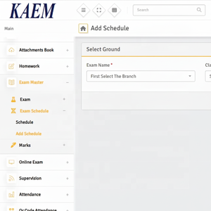 Software de examen en línea basado en Web con personalizaciones - Product Image 1
