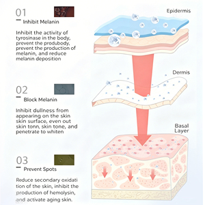Crème de contrôle de la teint verte 20g, crème hydratante pour le visage avec couvercle métallique à vis, emballage en pot de verre - Product Image 3