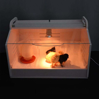 Boîte de couvaison multifonctionnelle et réglable pour volailles et poulets à vendre