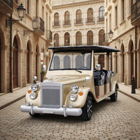 Voitures électriques rétro vintage personnalisées de haute qualité BFF Kepler, 8 à 15 places, voitures électriques de tourisme, voitures électriques de golf, voitures classiques