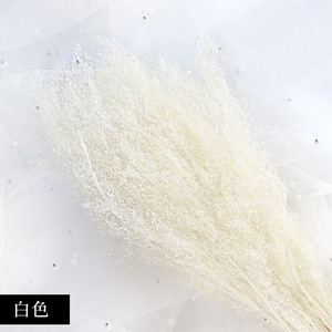 Naturel Ins Most Hot belle couleur fleurs séchées fontaine herbe pour la décoration de la maison - Product Image 3