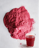Poudre de jus de canneberge Jianfeng 1% Proanthocyanidines Poudre de fruits de qualité alimentaire Vaccinum Macrocarpon Ait