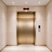 Ascenseur panoramique pour passagers avec cabine en verre et bande lumineuse LED pour hall d'hôtel et projets à vue panoramique