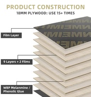 Panneau de coffrage en contreplaqué recyclable haute résistance CONSO pour systèmes de construction, taille réglable, réutilisable
