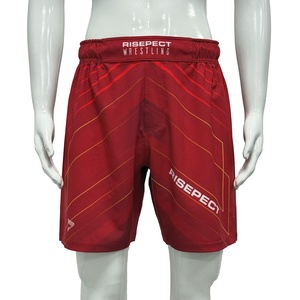 Wrestling Package Training <b>Shorts</b>&T-shirt Refine Workmanship and Fabric Customizable logo and Diverse Colors to Options - Product Image 3