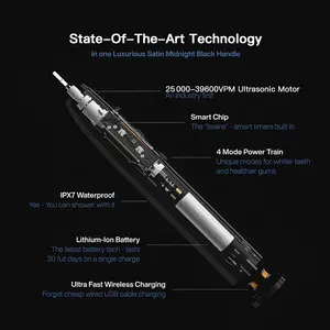 IVISMILE Wholesale IPX7 Waterproof Automatic Battery Electric Blue Sonic Electric Toothbrush