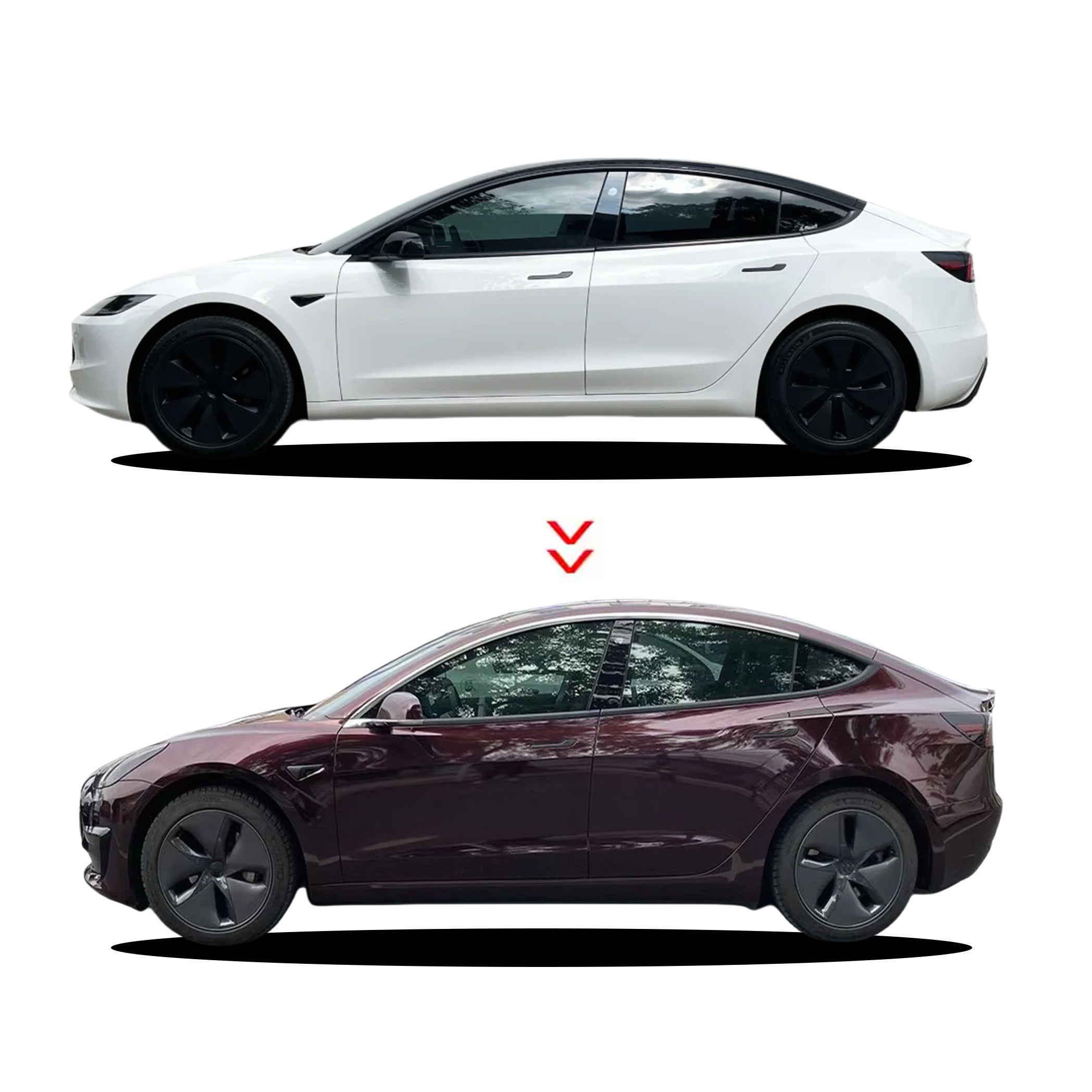 PET Metal Black Rose