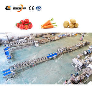 Línea Automática de Lavado y Secado de Tomates <span class=keywords><strong>Cherry</strong></span> de 2000 kg/h, Máquina Industrial de Limpieza de Frutas, Lavadora de Vegetales por Burbujas - Product Image 5