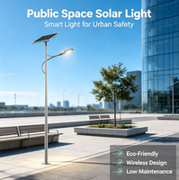 Lampe Intelligente Hybride Éolienne et Solaire Intégrée pour Route et Extérieur YD-TYN-11
