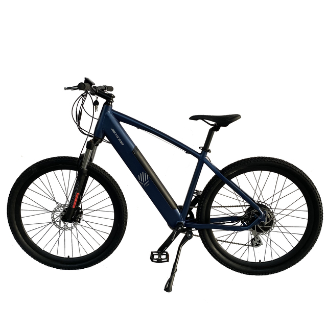 2023 Fastest Electric Bikes Mountain Ebike Bicycles Electric Bike Cycle 250w Disc Brake