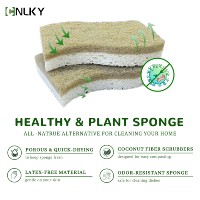 Éponge de cuisine rectangulaire à base de plantes, en fibre de coco naturelle, en cellulose, biodégradable, légère, durable, double face