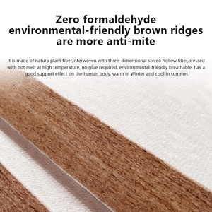 <span class=keywords><strong>Matelas</strong></span> hybride en fibres de coco et de coton, écologique, vente directe du fabricant, taille Queen, pour hôtel et villa, durable - Product Image 6