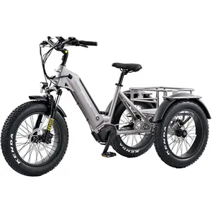 20 Inch Elektrische Trike Fat Tire 3 Wiel Elektrische Driewieler Volwassen Lading Elektrische Fiets Met Mand