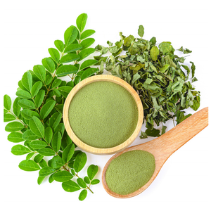 Venta Directa de Fábrica de Extracto de Hoja de Moringa Natural <span class=keywords><strong>en</strong></span> <span class=keywords><strong>Polvo</strong></span>, Flavonoides Totales 20%, Extracto Natural de Hoja Tierna - Product Image 3