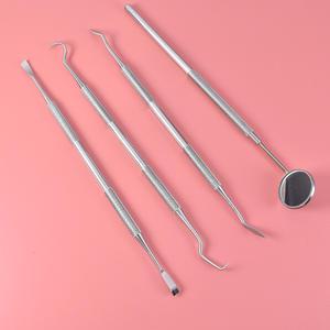 Ensemble d'outils dentaires en acier inoxydable argenté à poignée moletée, éliminateur de tartre et de plaque, ensemble de soins bucco-dentaires 4 pièces avec miroir buccal - Product Image 2