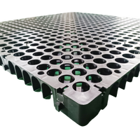 Tapis de drainage en PEHD pour le drainage des pentes des tunnels de métro, ponts et ponteaux – Planche de drainage en plastique