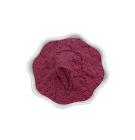 Leveren Gedroogde Zwarte Vlierbessen Fruitpoeder Groothandel Vlierbessenextract