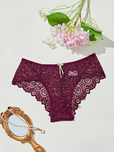 Hot Sale <span class=keywords><strong>Mutandine</strong></span> da Donna in Pizzo di Alta Qualità a Vita Bassa Sottili e Sexy Taglie Forti per Commercio Estero - Product Image 5