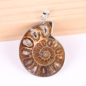 Colgante llano de cristal de piedra Natural multicolor de gemas DIY con fósil de caracol dorado para suéter collar de rocas crudas de piedras preciosas - Product Image 3