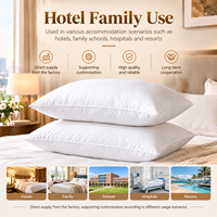 Oreiller en duvet de canard 910g, direct usine, moelleux et volumineux, avec rembourrage 3S à 3 compartiments, silencieux, anti-évasion de duvet, pour hôtel et maison, OEM ODM