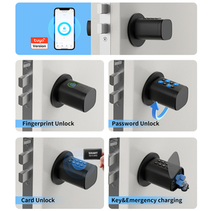 Euro easy <span class=keywords><strong>replacement</strong></span> fingerprint passcode chiave AAA batterie digitale elettronica tuya card cilindros in ottone smart lucchetto a cilindro - Product Image 4